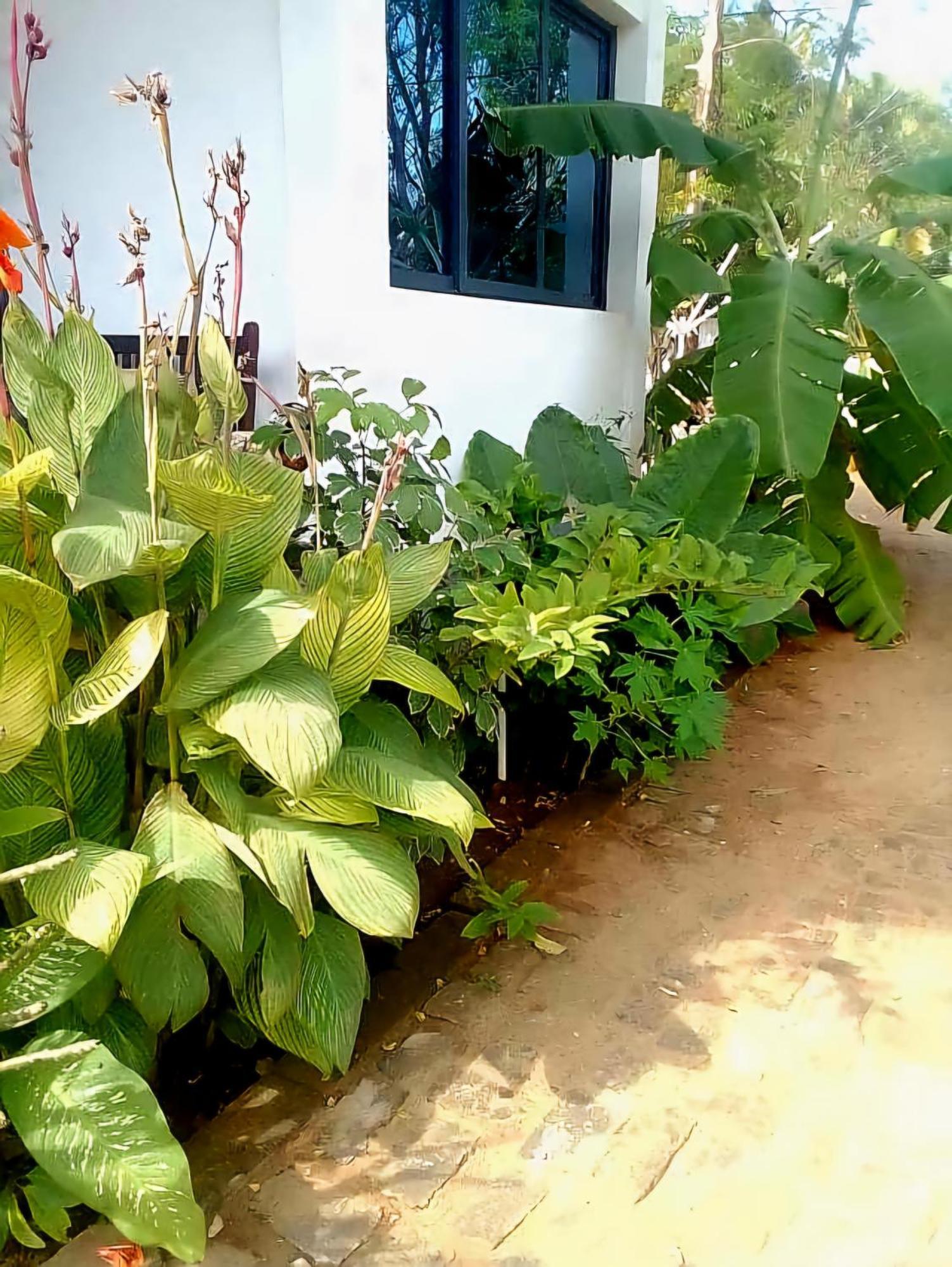 Bungalow Ramena Beach Antsiranana Andjamen Exteriör bild